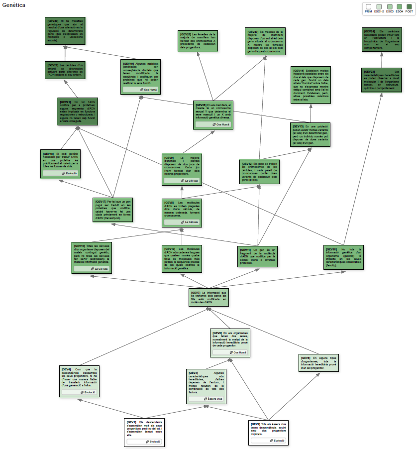 Mapa de progressió d'idees - Genètica