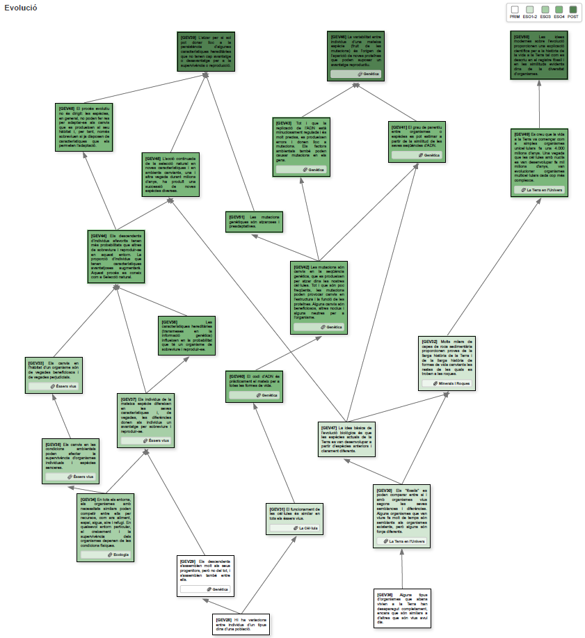 Mapa de progressió d'idees - Evolució