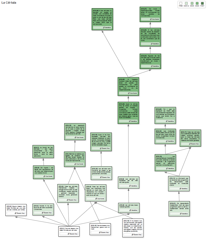 Mapa de progressió d'idees