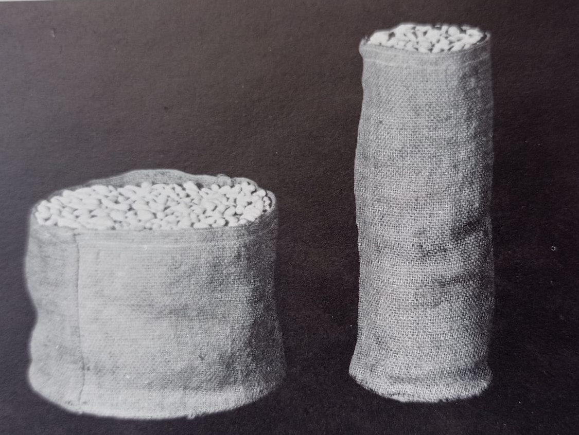  Matematica nella realtà (Castelnuovo & Barra, 1976)
