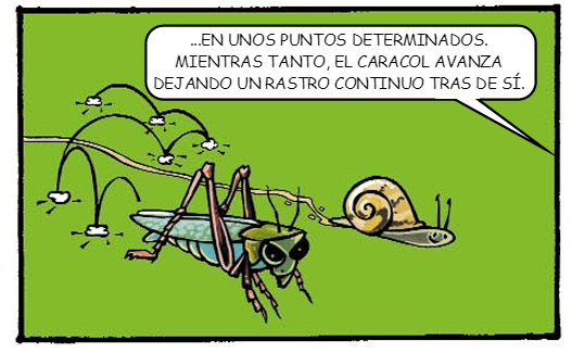 Dados y datos. Cómic hacia la estadística con probabilidad 0,95 de serlo