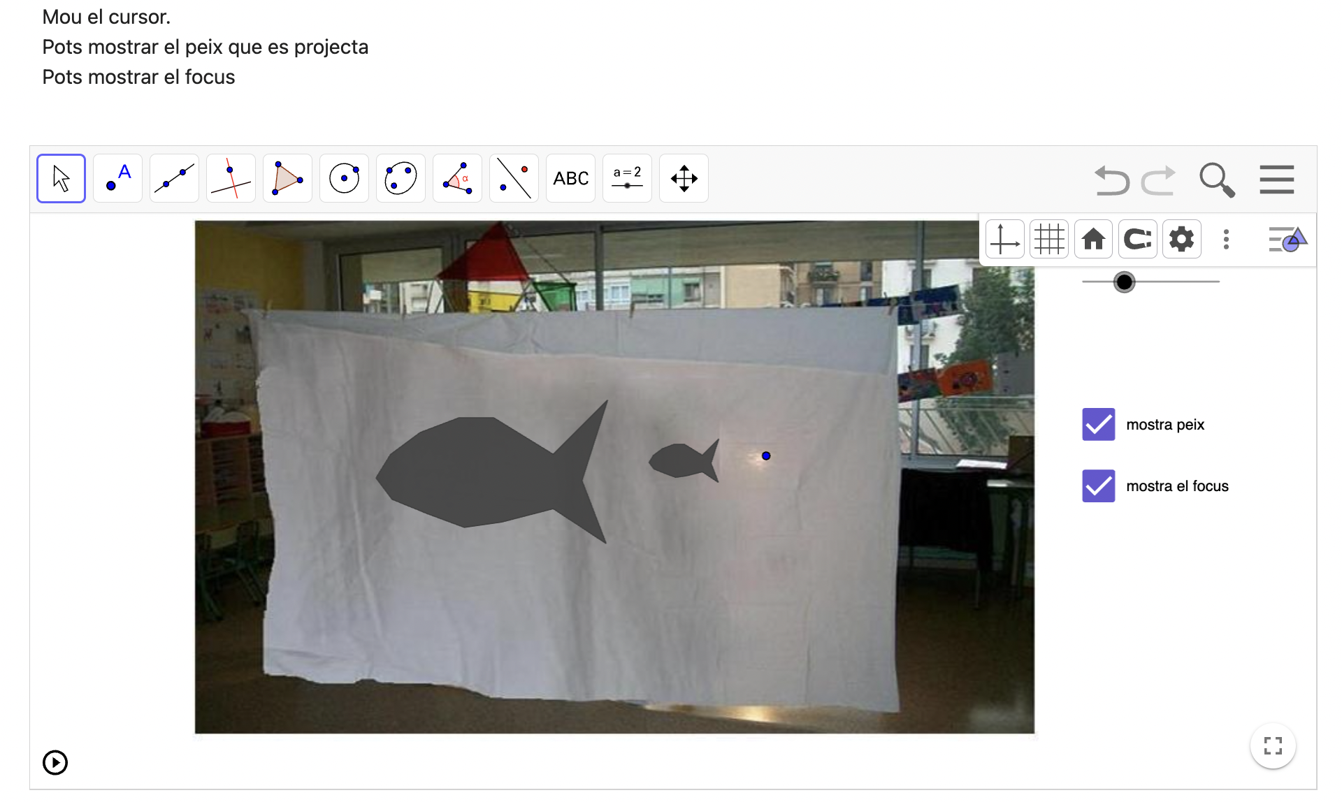 Homotècia projecció d'ombres