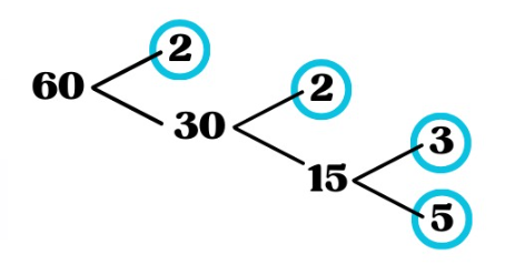 Descomposició en nombres primers